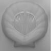 Molde Silicona Concha Marina
