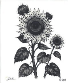 Transfer DTF Textil By Sabella 25x30 cm - Girasoles Lunares S-002